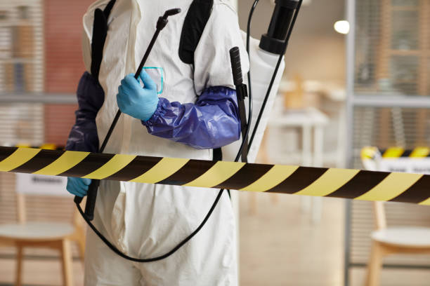Professional Trauma Scene Cleanup technician working in Randolph, MA